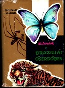 Online antikvárium: Kalandok a Brazíliai őserdőben