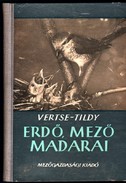 Online antikvárium: Erdő-mező madarai