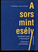 Online antikvárium: A sors mint esély
