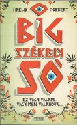 Online antikvárium: BIG székely SÓ. Ez egy valami, vagy mén valahová...