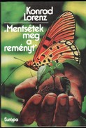 Online antikvárium: