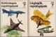 Online antikvárium: Léghajók, repülőgépek (két kötet)