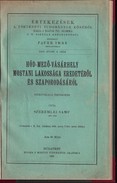 Helytörténet / Szeremlei Samu - Hód-Mező-Vásárhely újabbkori lakossága eredetéről és szaporodásáról