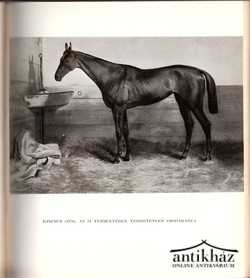 Könyv: Híres lovak, híres lovasok, híres versenyek 