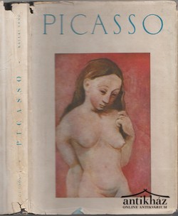 Könyv: Picasso