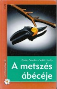 Online antikvárium: A metszés ábécéje