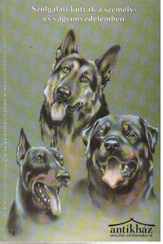 Könyv: Szolgálati kutyák a személy- és vagyonvédelemben III.