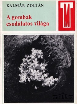 Könyv: A gombák csodálatos világa