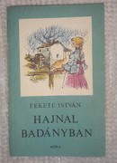 Online antikvárium: Hajnal Badányban