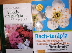 Könyv: A Bach-virágterápia alapjai - Bach-terápia (Természetes gyógyulás hatékony virágeszenciákkal) 