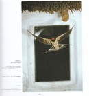 Online antikvárium: Privát éden. Magyarország szebbik arca. Fotóalbum