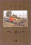 Online antikvárium: Vezérállásban