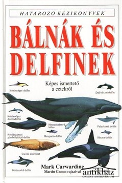 Könyv: Bálnák és delfinek (Képes ismertető a cetekről)