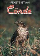Online antikvárium: Cönde - Csend (Két kisregény)