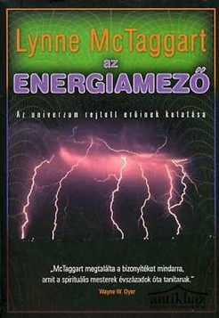 Könyv: Az energiamező (Az univerzum rejtett erőinek kutatása)