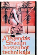 Online antikvárium: A legendás Shaolin hosszúbot technikája (poszterrel)