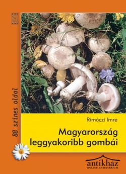 Könyv: Magyarország leggyakoribb gombái