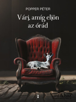 Könyv: Várj, amíg eljön az órád