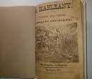 Online antikvárium: A hableány