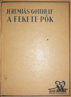 Könyv: A fekete pók