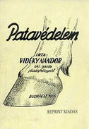 Online antikvárium: Patavédelem