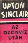 Online antikvárium: Az özönvíz után