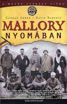 Könyv: Mallory nyomában (A Mount Everest titka)