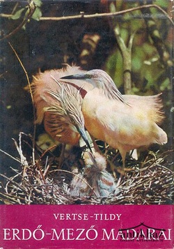 Könyv: Erdő-mező madarai