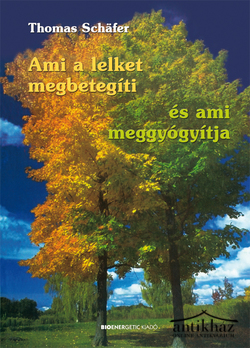 Könyv: Ami a lelket megbetegíti, és ami meggyógyítja