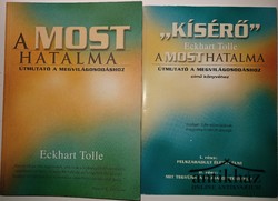 Könyv: A most hatalma (Útmutató a megvilágosodáshoz) + Kísérő