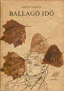 Online antikvárium: Ballagó idő