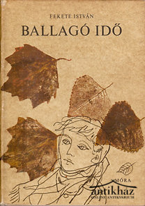 Könyv: Ballagó idő