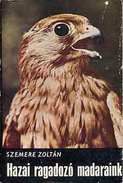 Online antikvárium: Hazai ragadozó madaraink