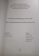 Online antikvárium: Az elítéltek rekreációs lehetőségei a rácsokon belül