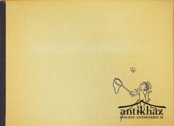 Könyv: A kis angyal