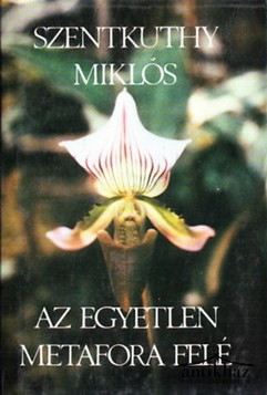 Könyv: Az egyetlen metafora felé