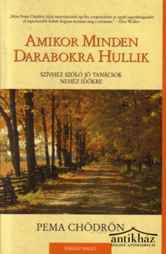 Könyv: Amikor minden darabokra hullik
