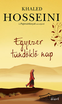 Könyv: Egyezer tündöklő nap