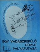 Online antikvárium: Egy vadászrepülő röpke pályafutása