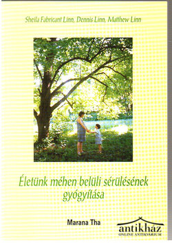 Könyv: Életünk méhen belüli sérülésének gyógyítása