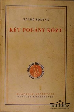 Szabó Zoltán - Két pogány közt.