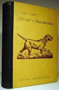 Kolossy Gábor - Betyár, a magyar vizsla.