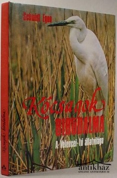 Könyv: Kócsagok birodalma