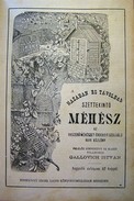 Méhészet  -  Gallovicz István - A hazában és távolban széttekintő MÉHÉSZ