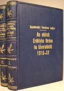 Szádeczky Kardoss Lajos  -  Az oláhok Erdélybe törése és kiveretésük 1916 - 17.