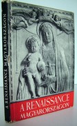 Pálinkás László - A renaissance Magyarországon