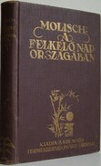 Molisch, Hans  -  A felkelő nap országában