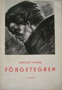Pákozdy Ferenc  -  Förgetegben