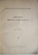 Szüts Mihály  -  Szeged mezőgazdasága