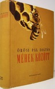 Örösi Pál  Zoltán - Méhek között